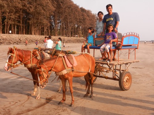 Horse Cart ride at Varsoli beach